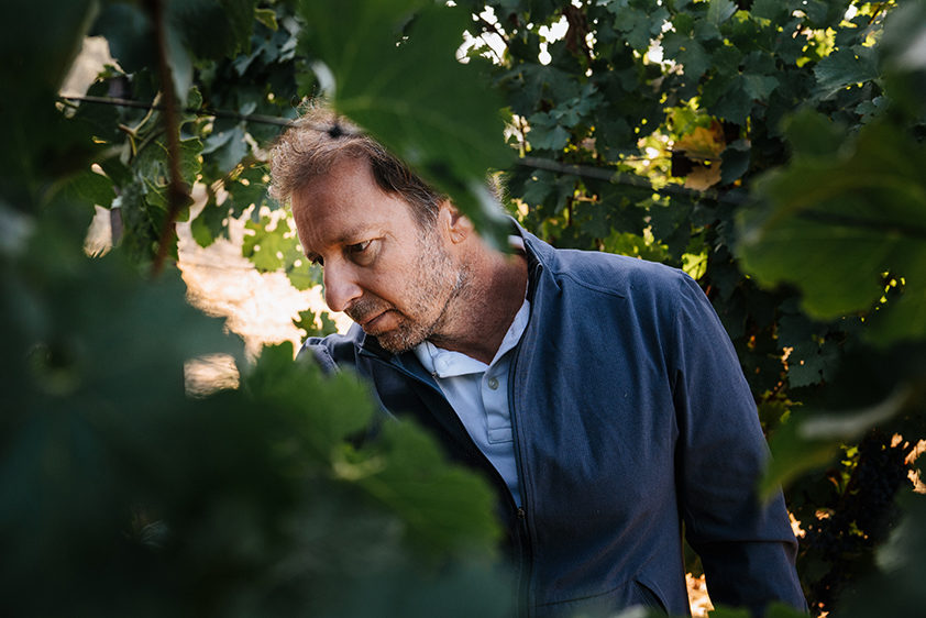 Philippe Melka in the vineyard