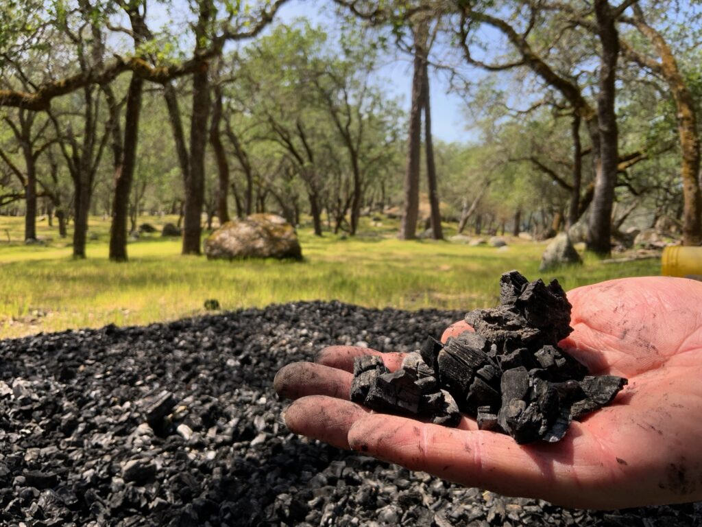 Jim Duane holds biochar charcoals made in Seavey's forest to sequester carbon and boost soil health